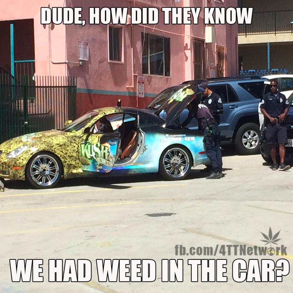 Car with marijuana paint job get pulled over and searched by cops!